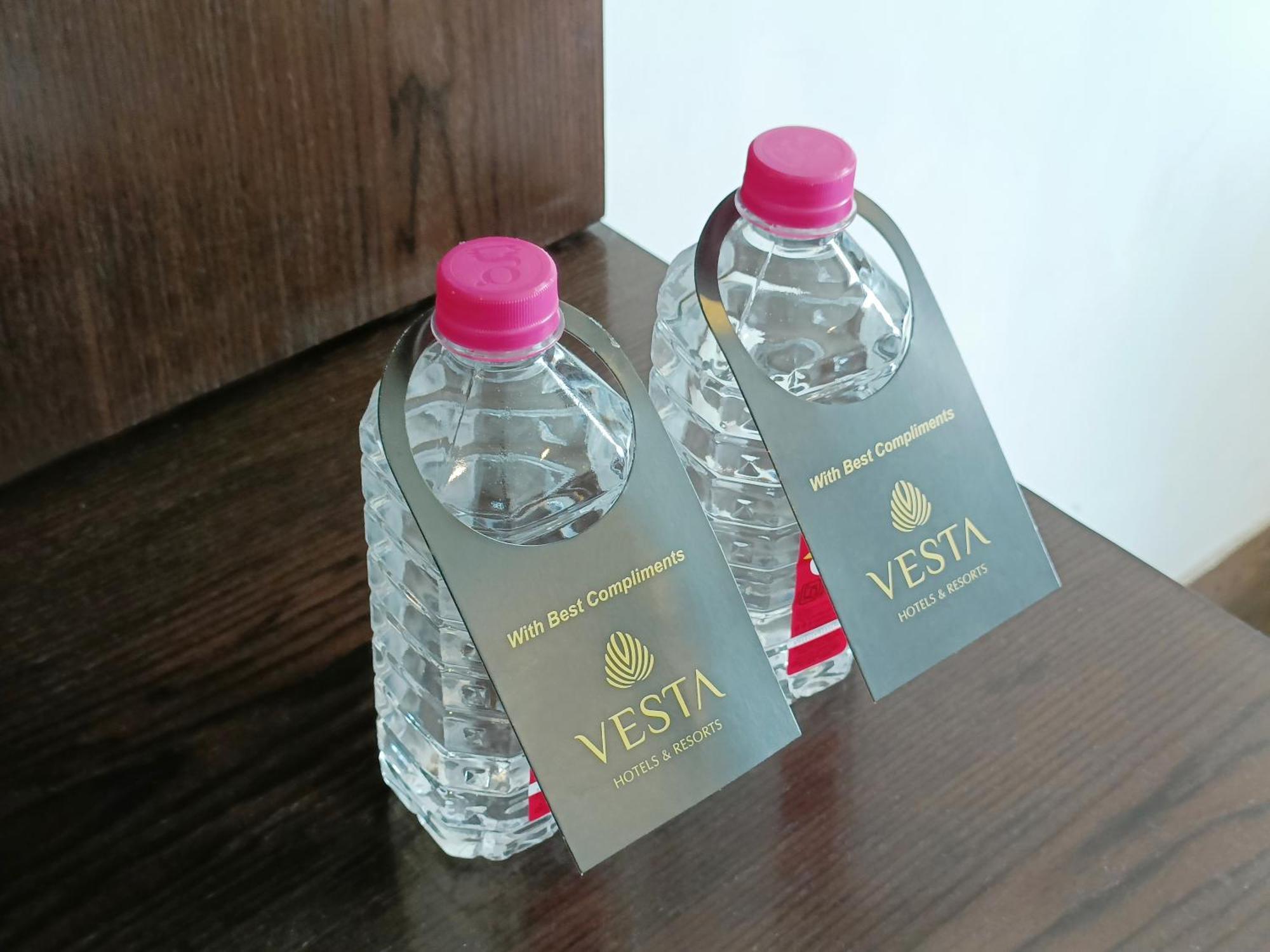 Vesta Grand Central Udaipur Eksteriør billede